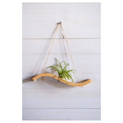 Mini Wave Air Plant Hanger, Air Plant Display, Mini Wave, Air Plant Hanger, Mini Plant Hanger, Bent Wood
