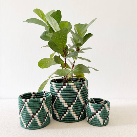 Storage Plant Basket (Set of 3): Kasuga