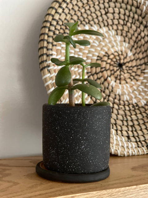 Small Ceramic Planter: Black