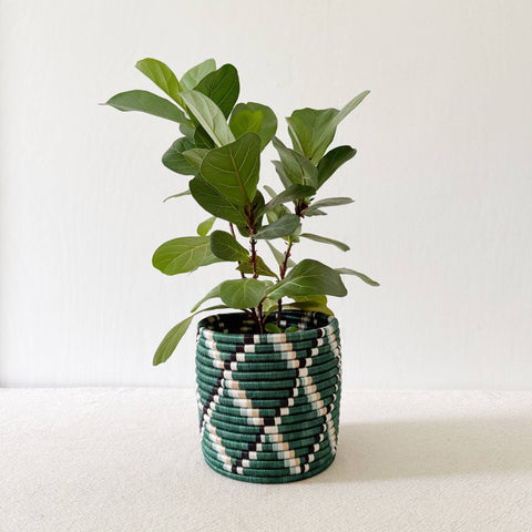 Storage Plant Basket (Set of 3): Kasuga