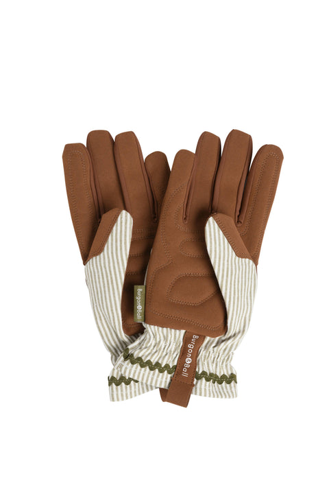 NEW Colour Collection Gloves - Olive Stripe