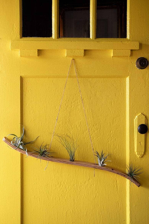 Large Wave Air Plant Hanger