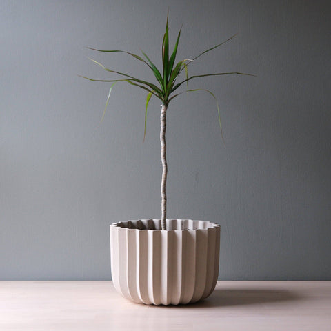 Wrap Planter: Dune / 9 inch