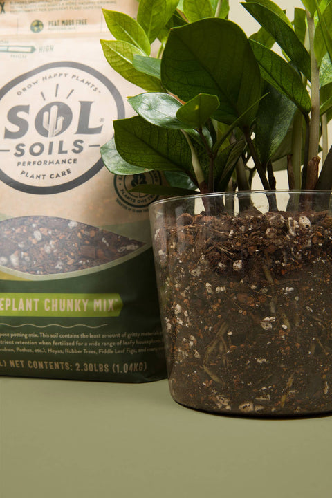 Soil (10Qt) Houseplant Chunky Mix (Aroid/Tropical Mix)