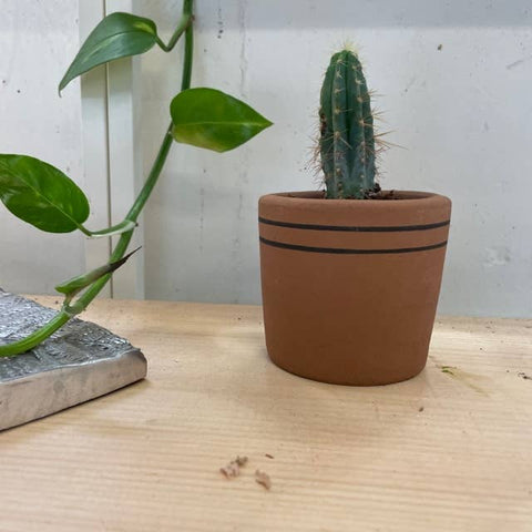 Small Ceramic Planter: Black