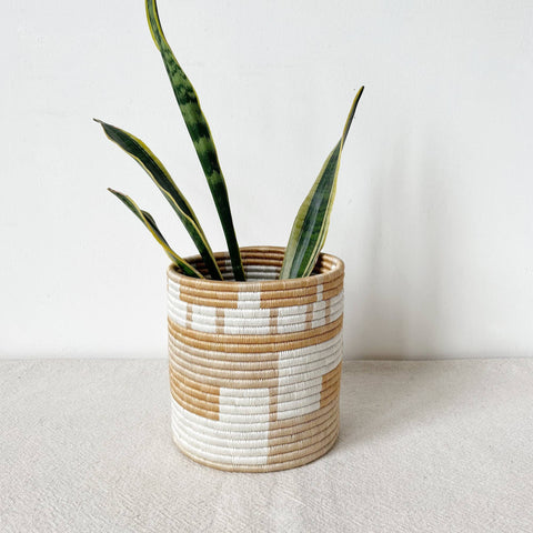 Storage Plant Basket: Bushoki (Set of 3)