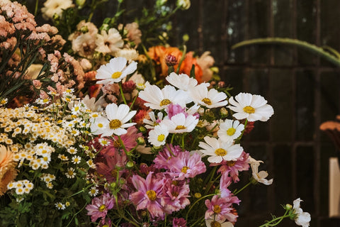 Where joy blooms