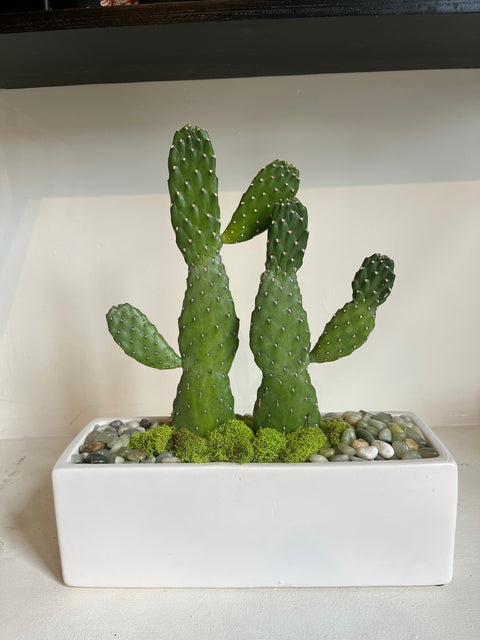 Plant Arrangement
