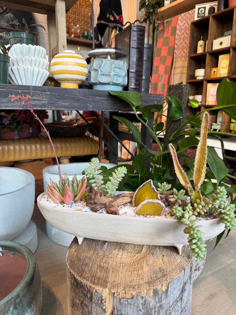 Plant Arrangement