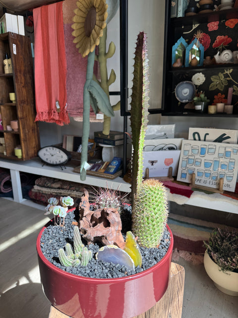 Plant Arrangement