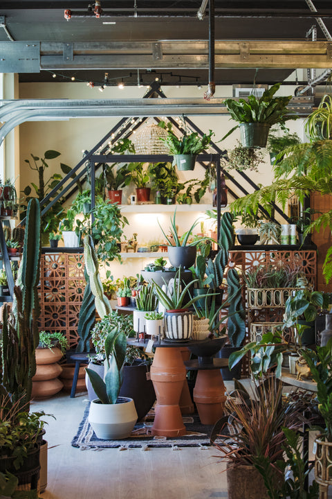 Vision & Sound Workshop