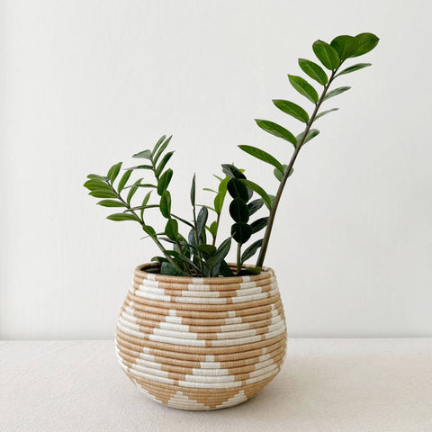 Honey Pot Basket: Akazi L