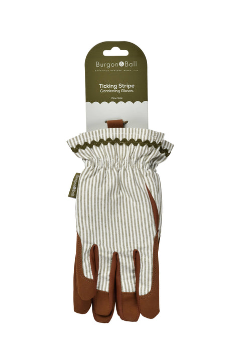 NEW Colour Collection Gloves - Olive Stripe