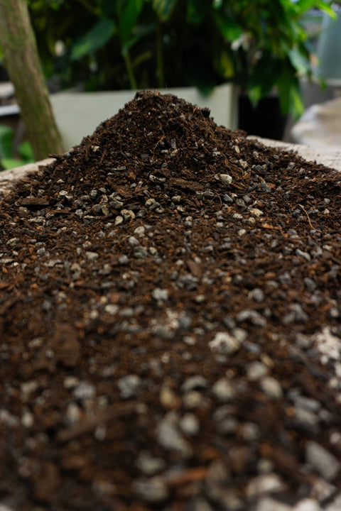 Bulk Soil - Houseplant Potting Mix (3 Sizes): 1 Cubic Foot