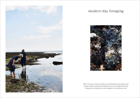 Seaweed: Foraging, Collecting, Pressing