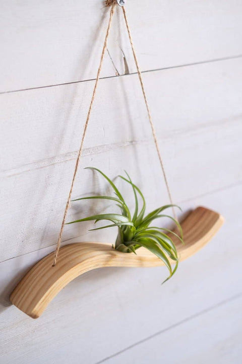 Mini Wave Air Plant Hanger, Air Plant Display, Mini Wave, Air Plant Hanger, Mini Plant Hanger, Bent Wood