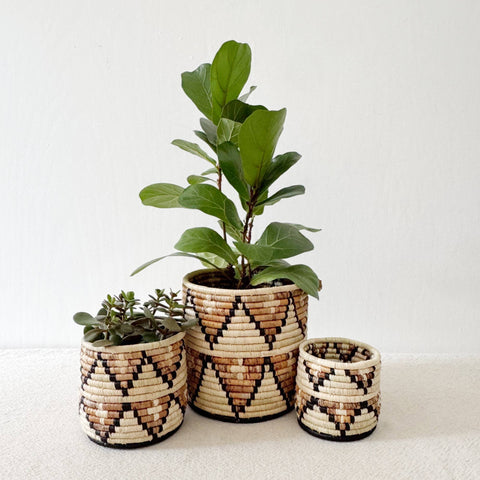 Storage Plant Basket: Busisi (Set of 3)