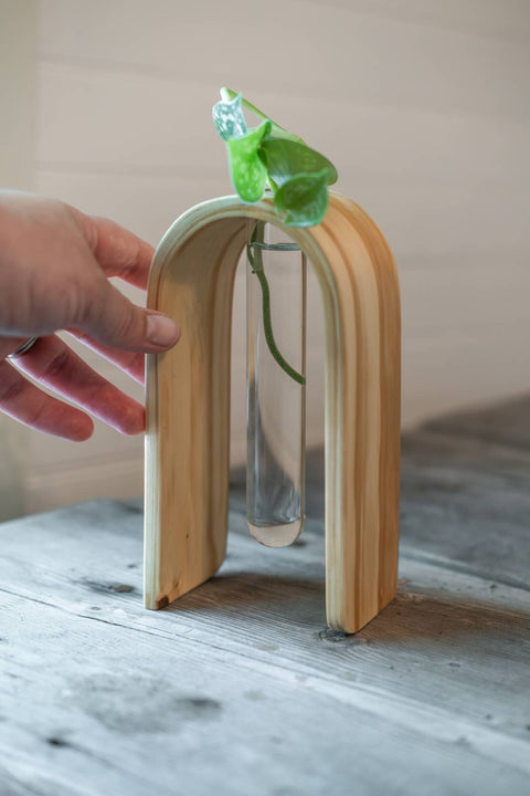 Propagation Vase