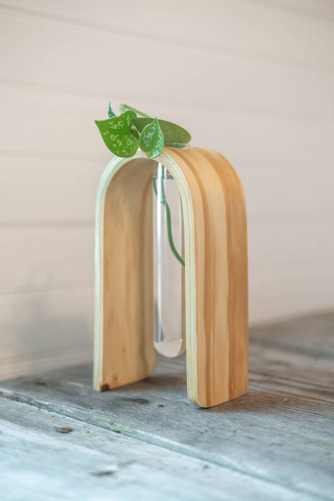 Propagation Vase