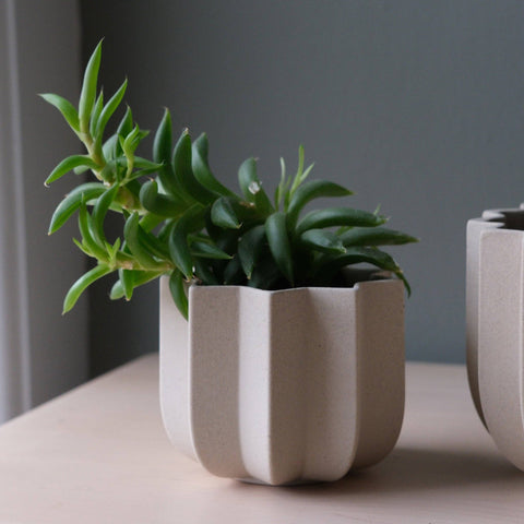 Wrap Planter: Dune / 5 inch