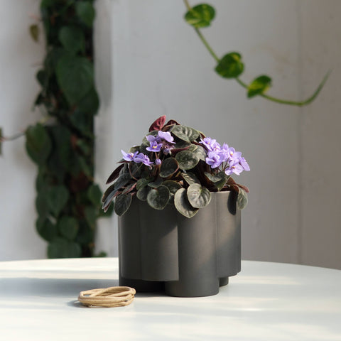 Pillar Planter: Dune