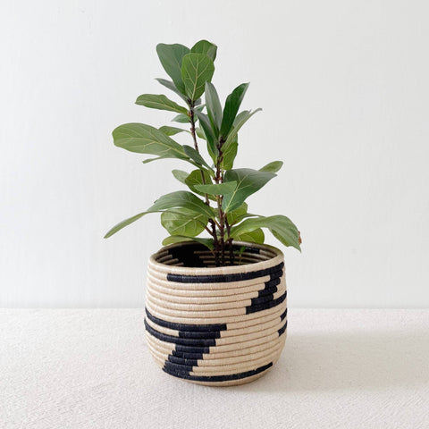 Honey Pot Basket: Muyira L