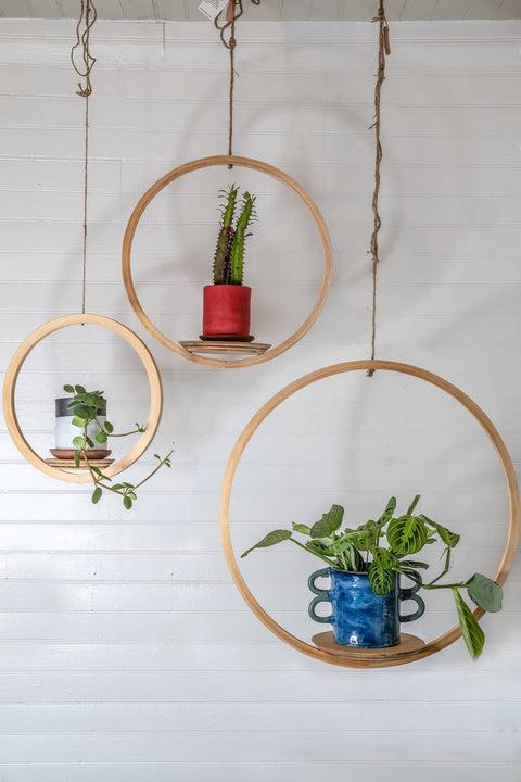 Large Bubble Hanging Planter: Natural Pine