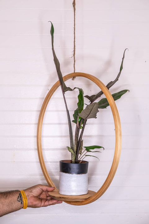 Large Bubble Hanging Planter: Natural Pine