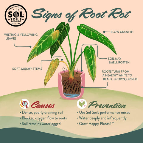 Soil (2Qt) Cactus Gritty Mix: 2 Quarts