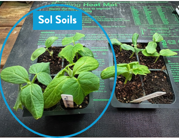 Soil (1Gal) Seedling & Propagation Mix: 1 Gallon (4 quarts)