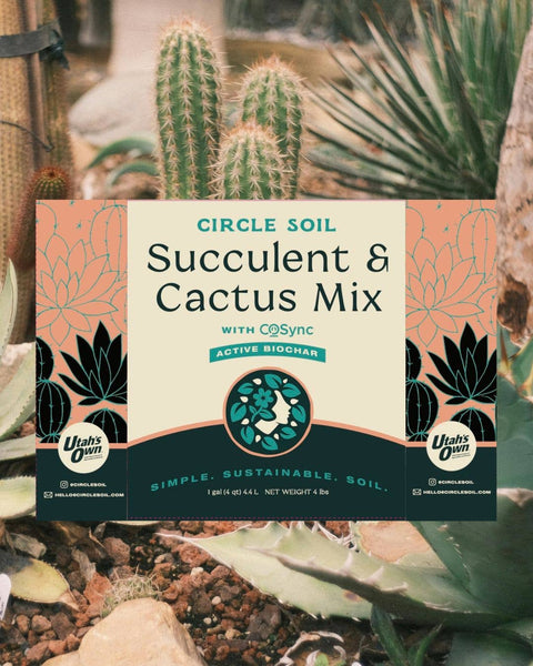 Succulent and Cactus Mix [1 Gal.]
