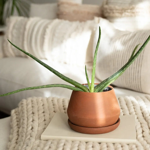 The Rancho Planter: Sand / 5 Inch