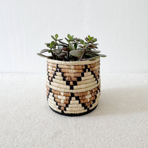 Storage Plant Basket: Busisi (Set of 3)