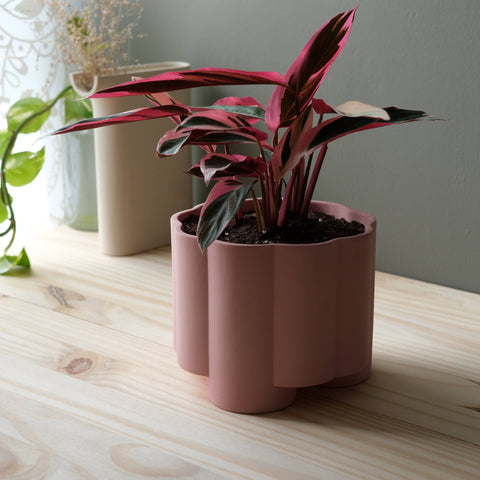 Pillar Planter: Black