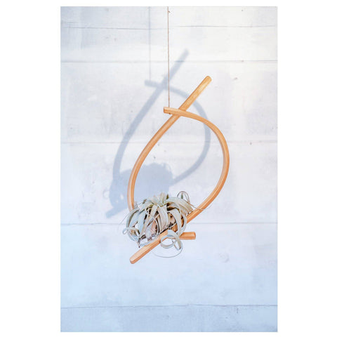 Sail Wood Plant Hanger, Hanging Planter Indoor, Indoor Hanging Planter, Air Plant Holder