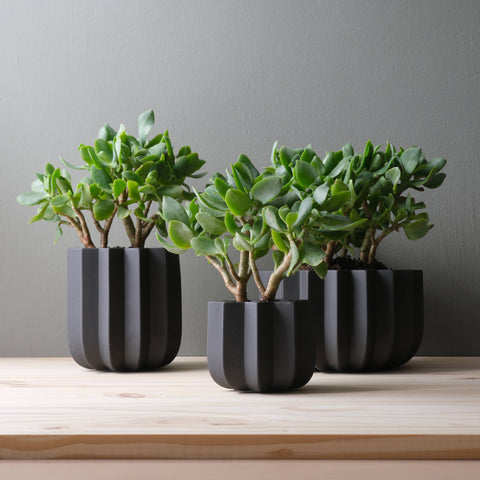Wrap Planter: Dune / 9 inch